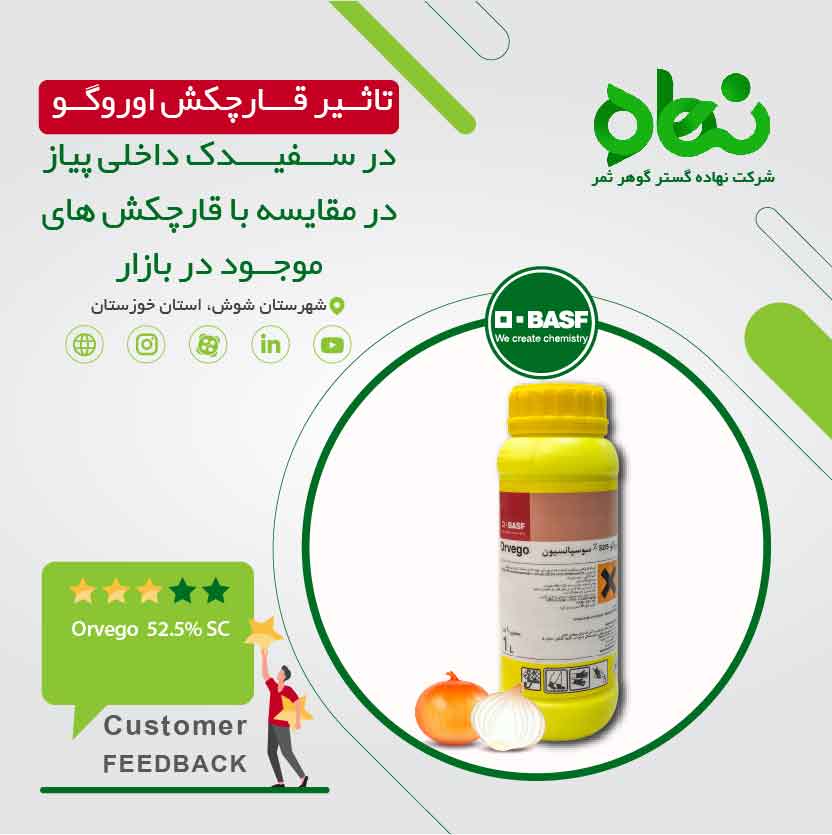 Effect of Orvego fungicide on onion